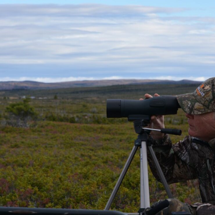 Newfoundland hunting outfitters