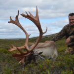 Newfoundland caribou hunting outfitters 4