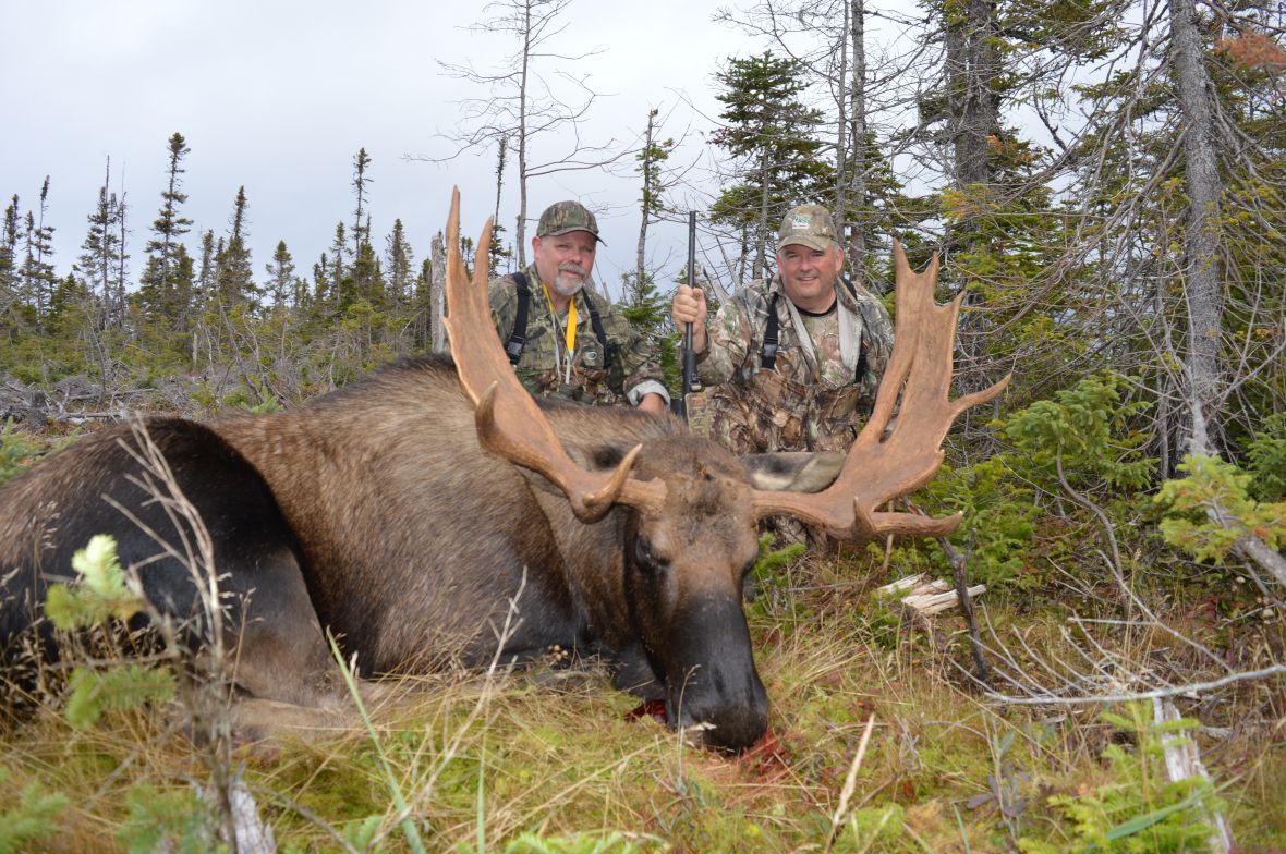 Southern Drawl – Newfoundland Moose Hunts, Big Game Hunting Outfitter, NL