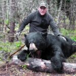 Newfoundland bear hunting outfitters 1