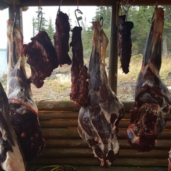 Newfoundland hunting outfitters