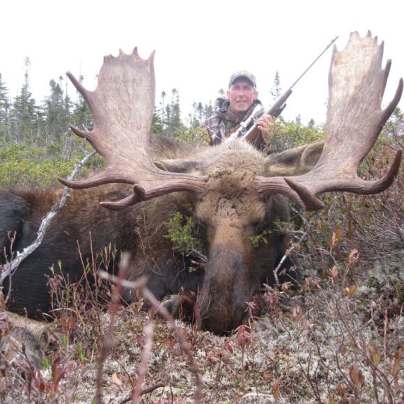 Newfoundland moose hunting outfitters