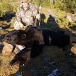 Newfoundland bear hunting outfitters 2