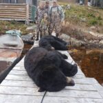 Newfoundland bear hunting outfitters 3