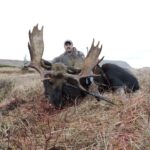 Newfoundland moose hunting outfitters 2