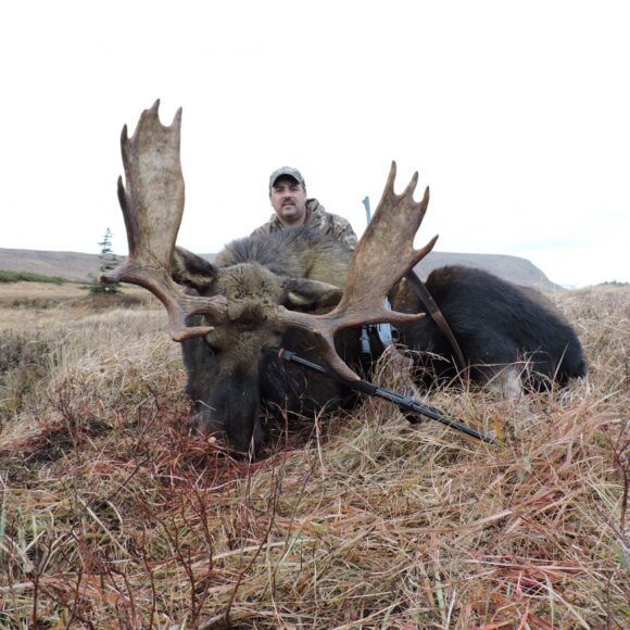 Newfoundland moose hunting outfitters