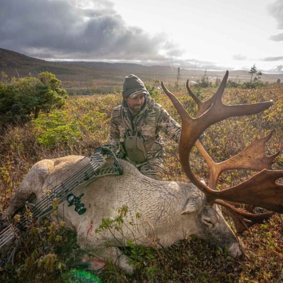 Newfoundland Caribou Hunt,outfitter,hunting guides,trip